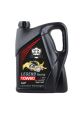 LEGEND 10W-60